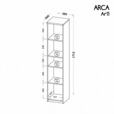 Pastatoma lentyna ARCA 11