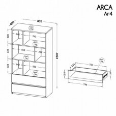 Pastatoma lentyna ARCA AR4