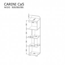 Pastatoma lentyna CA5