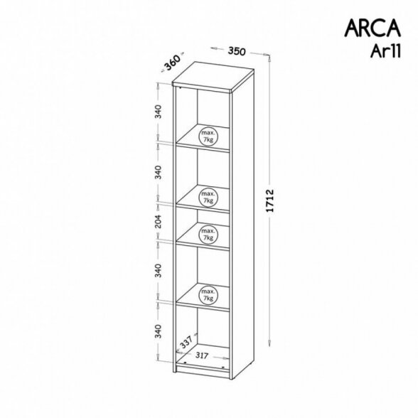 Pastatoma lentyna ARCA 11 1