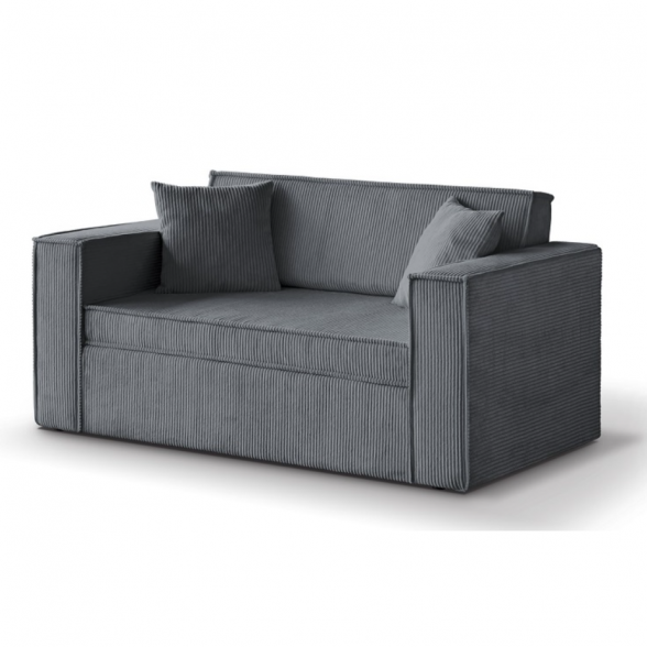 Dvivietė sofa DAVE 120 12