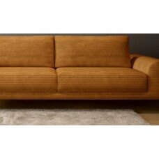 Sofa Capitol