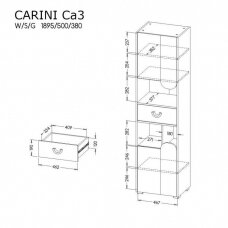 Spintelė CA3